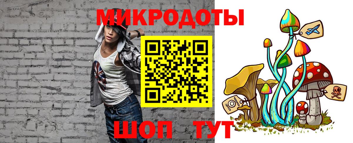 Галлюциногенные грибы Psilocybine cubensis Ростов Великий