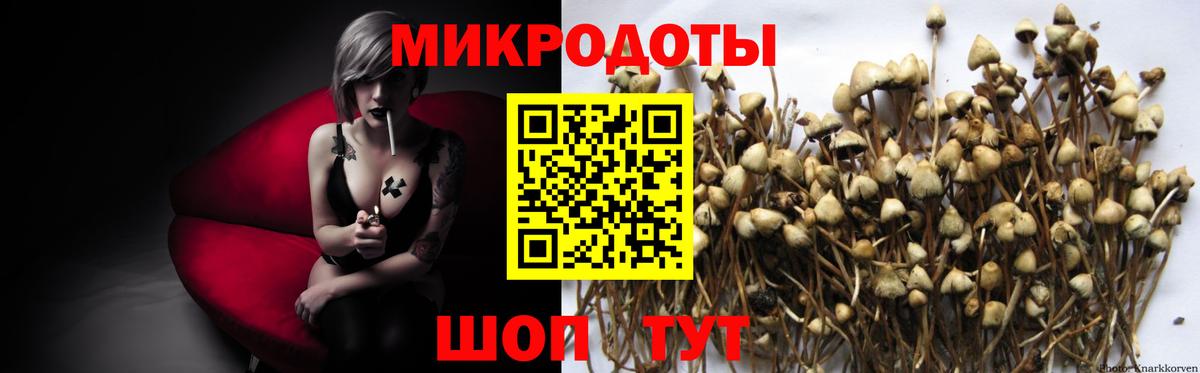 Ростов Великий  Галлюциногенные грибы GOLDEN TEACHER  Вход с VPN  Псилоцибиновые грибы прущие грибы 